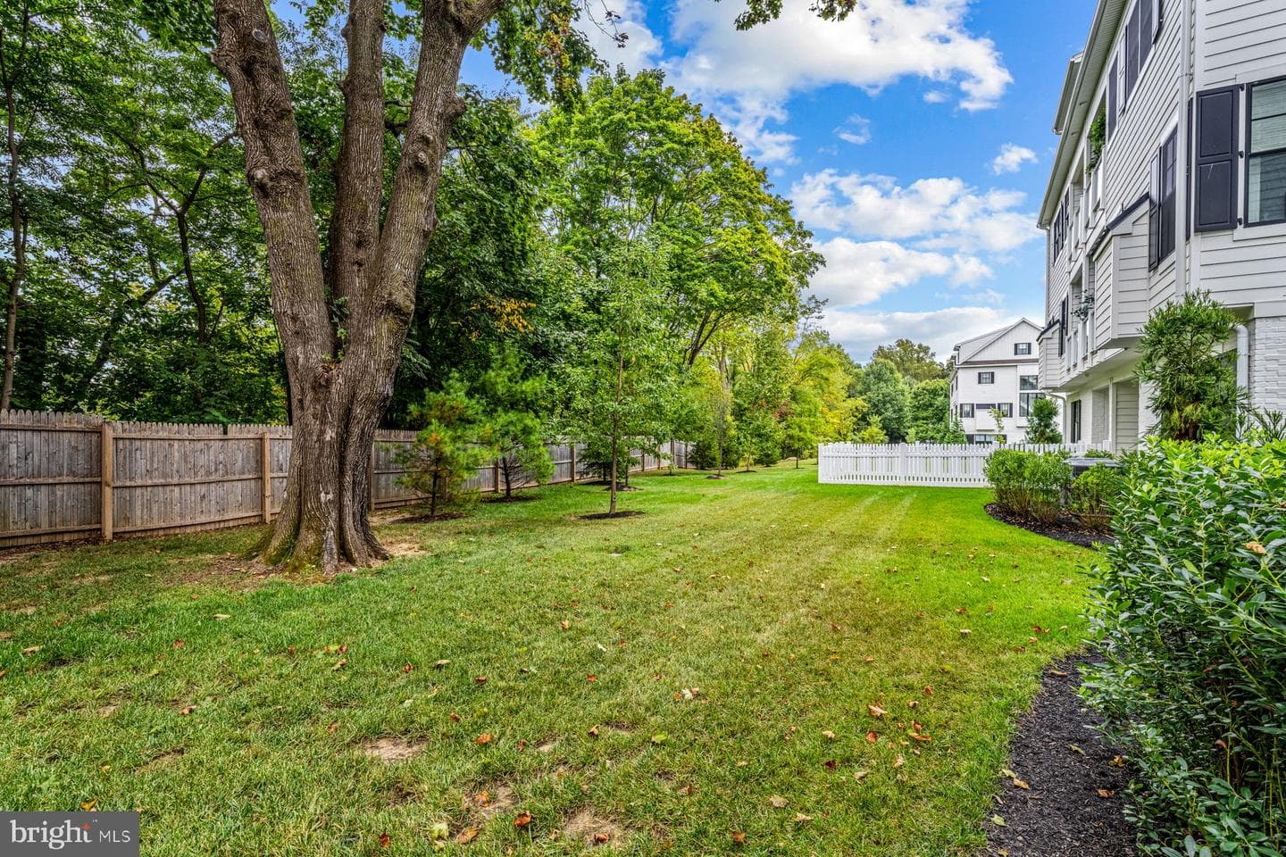 423 Maplewood Avenue photo 9