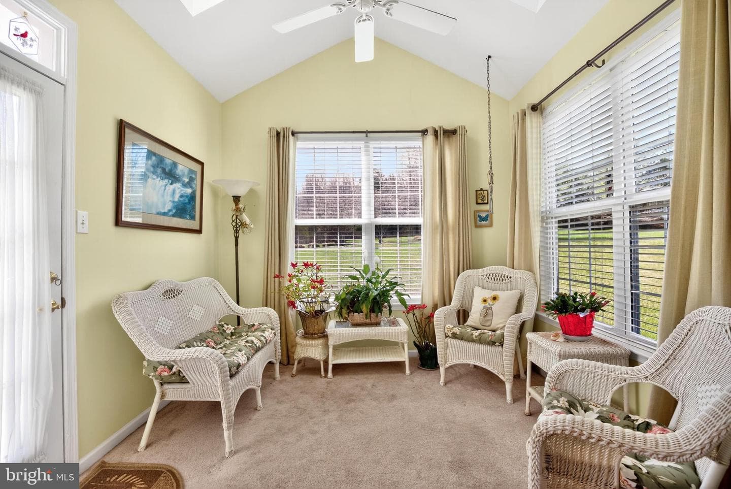 3531 Dogwood Drive photo 3