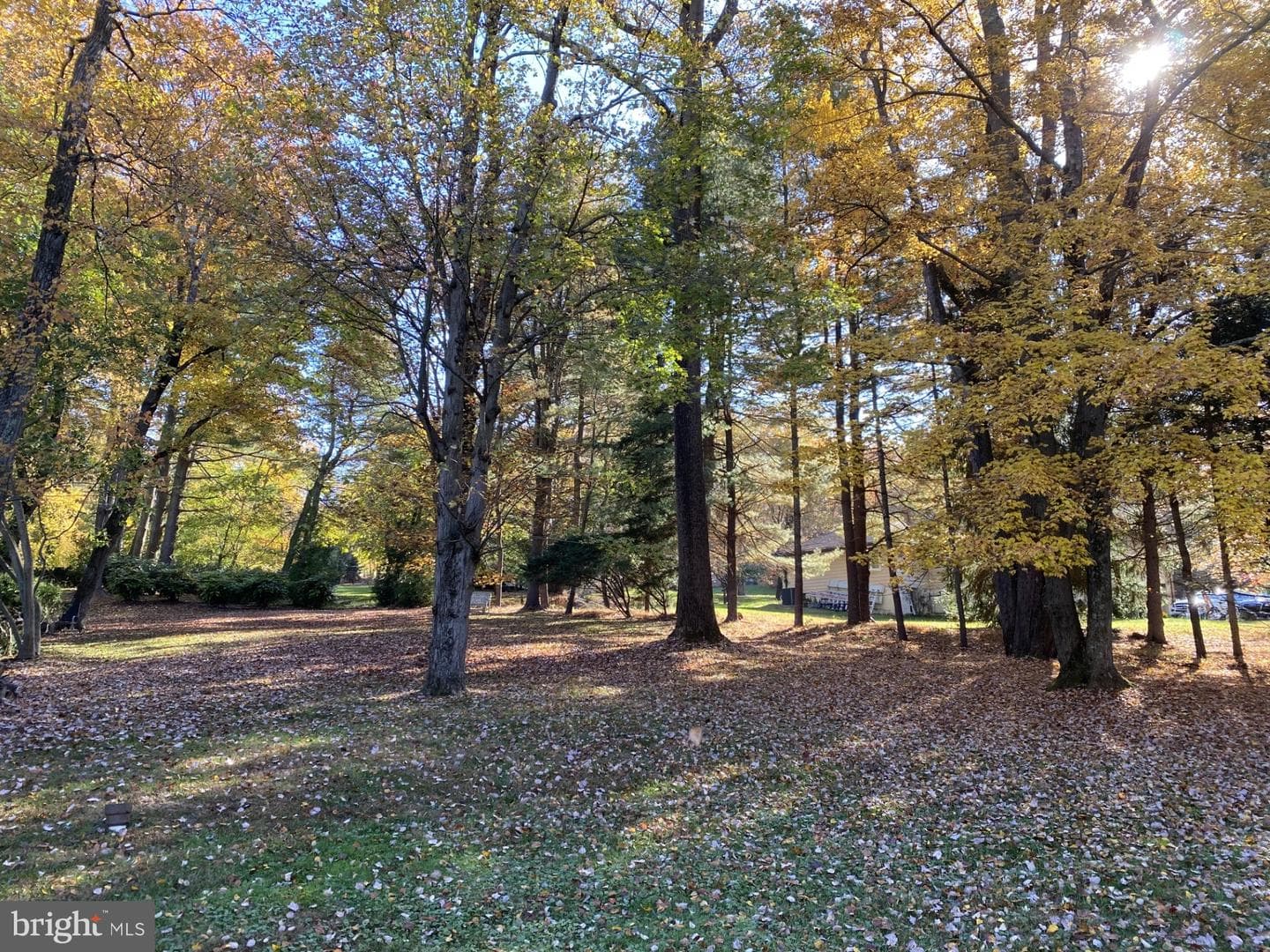17 Jonathan Morris Circle photo 6