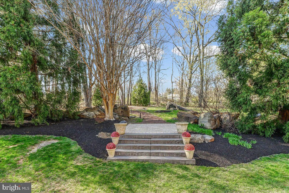 11 Forwood Drive photo 15