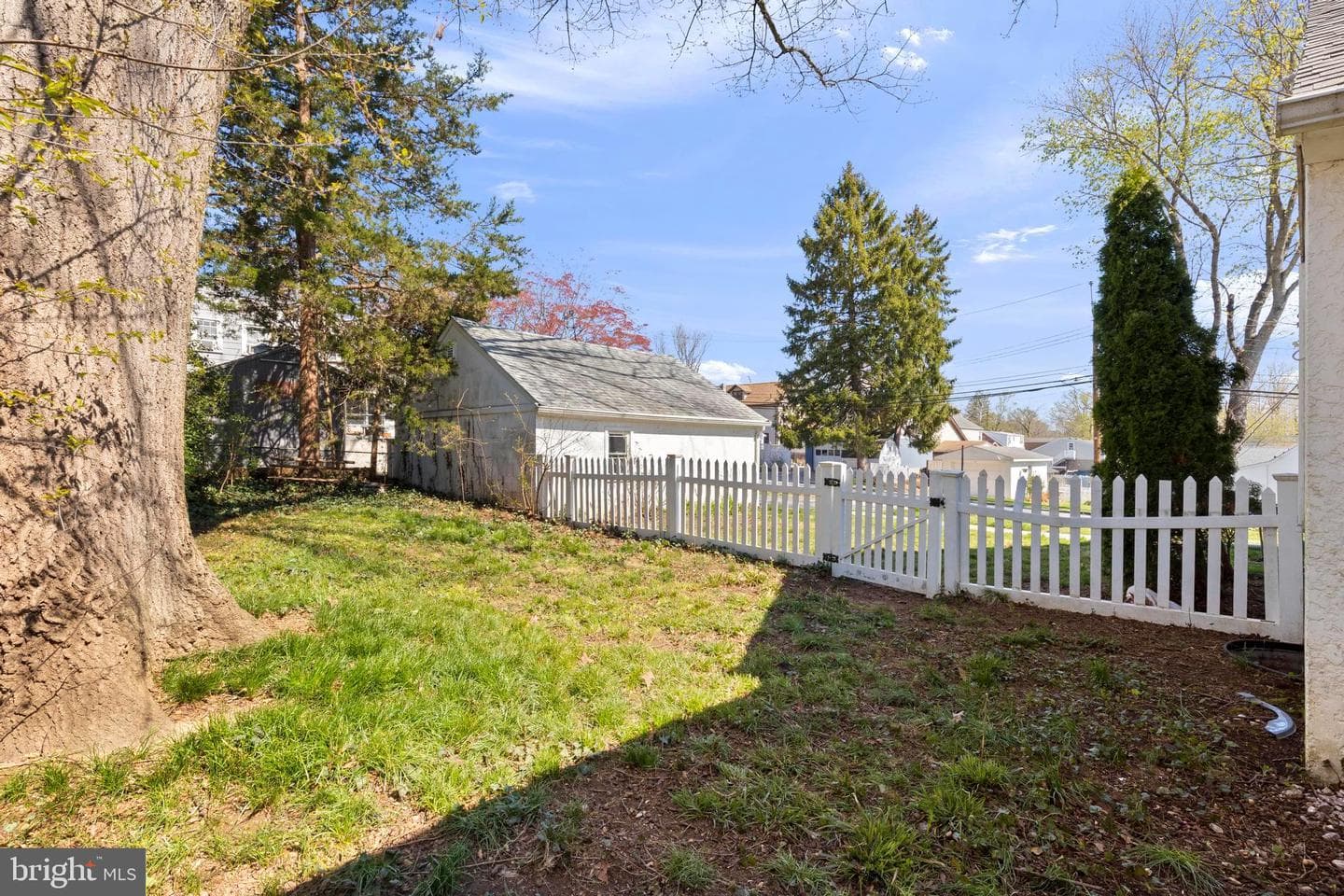 1001 Primos Avenue photo 25