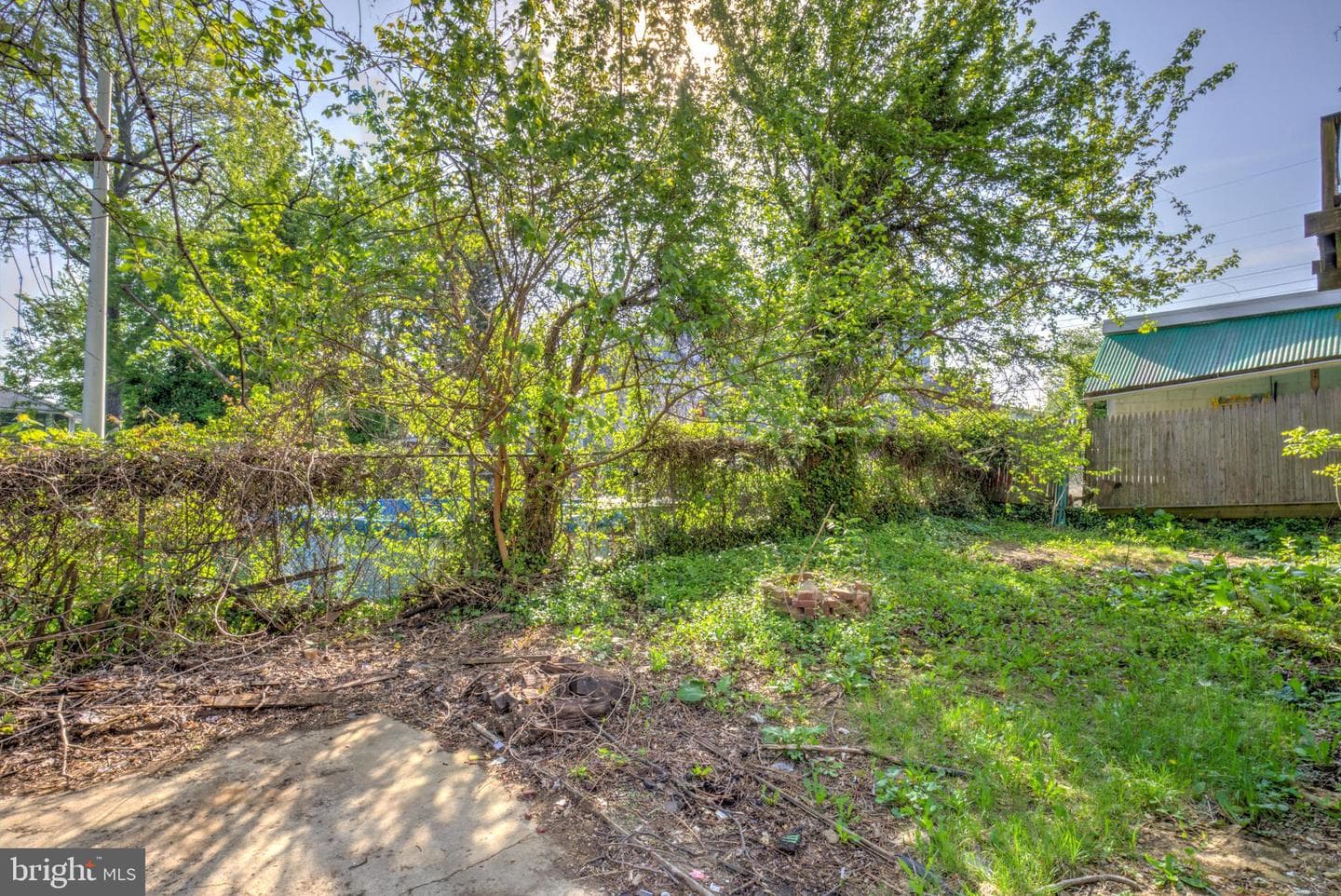 105 Garfield Avenue photo 32