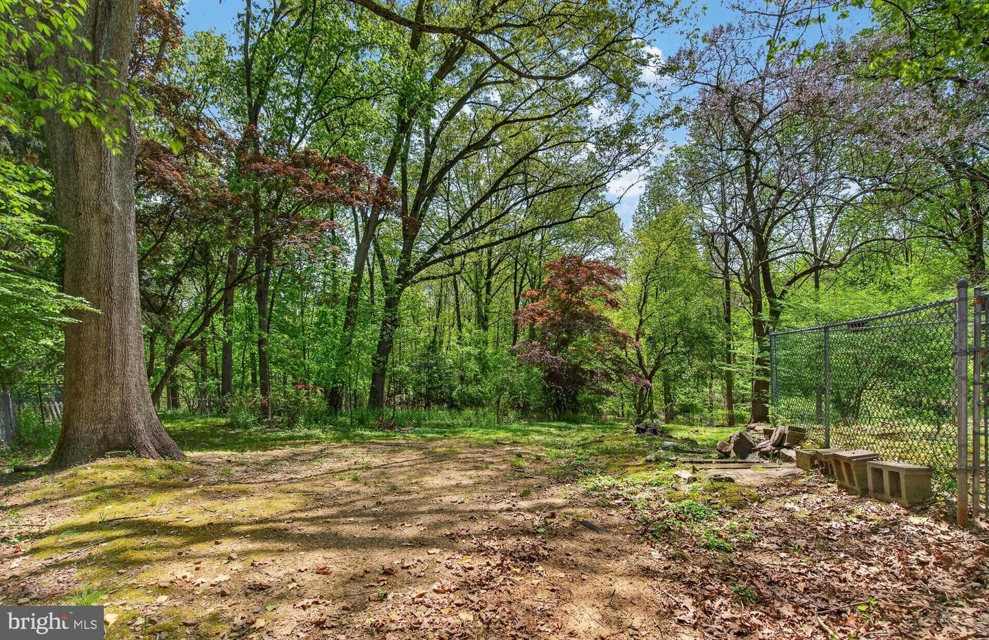 454 Kirk Lane photo 43