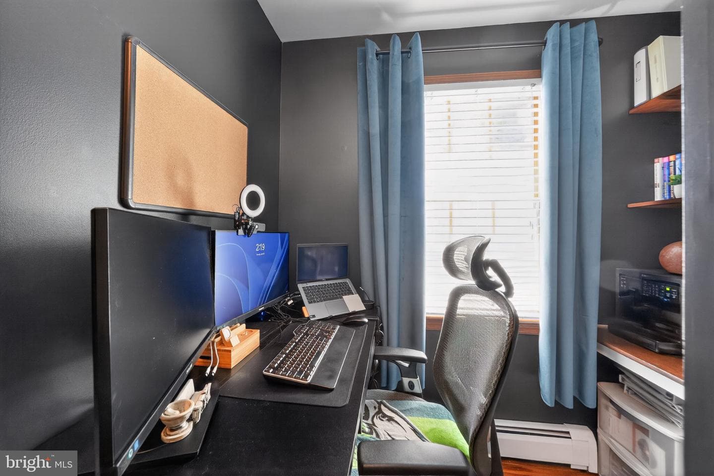 37 Ridley Avenue photo 28