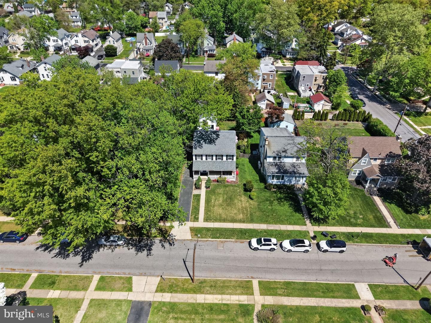 37 Ridley Avenue photo 38
