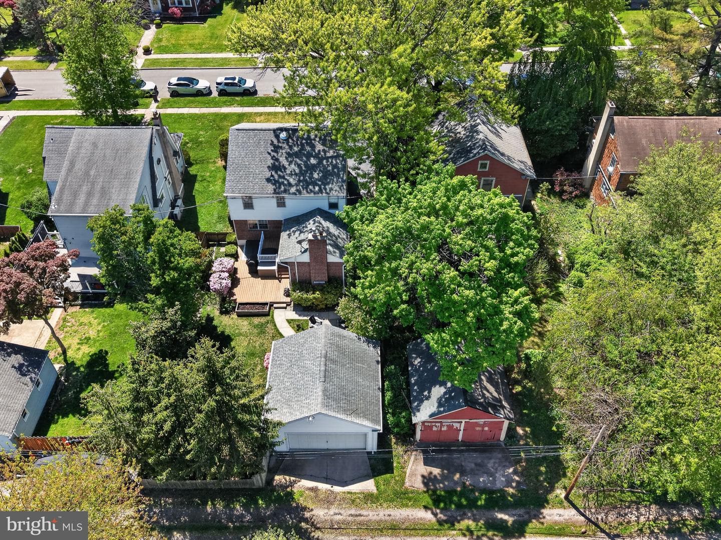37 Ridley Avenue photo 40
