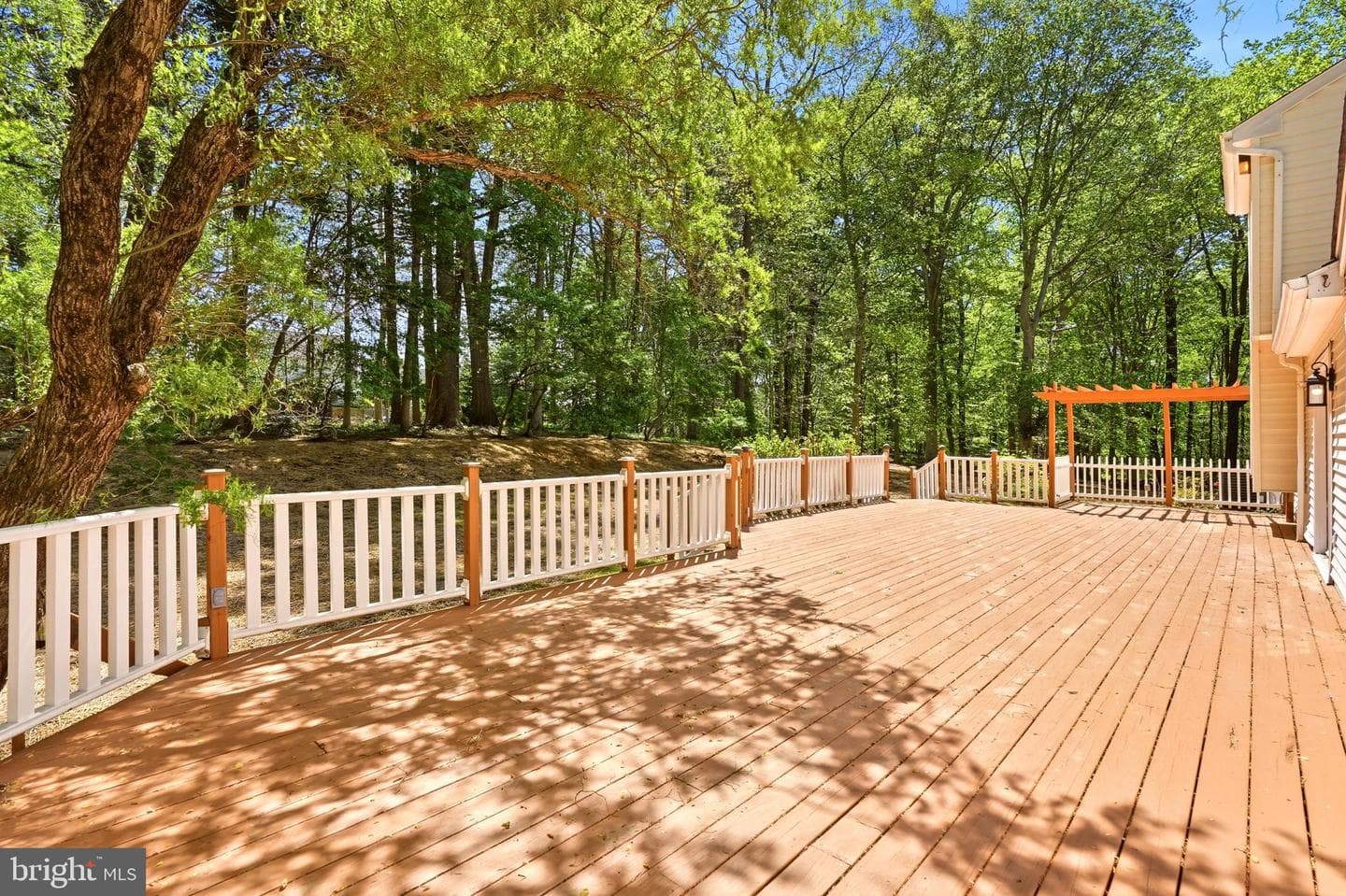 108 Carter Way photo 47