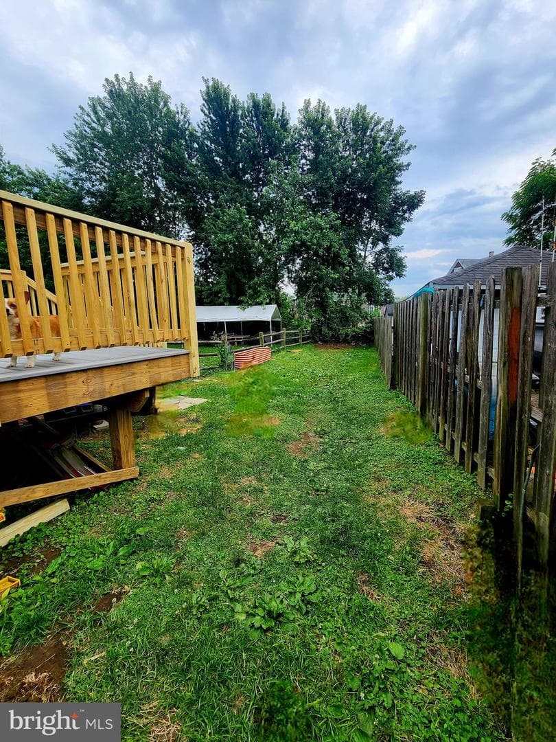 336 Springfield Road photo 15