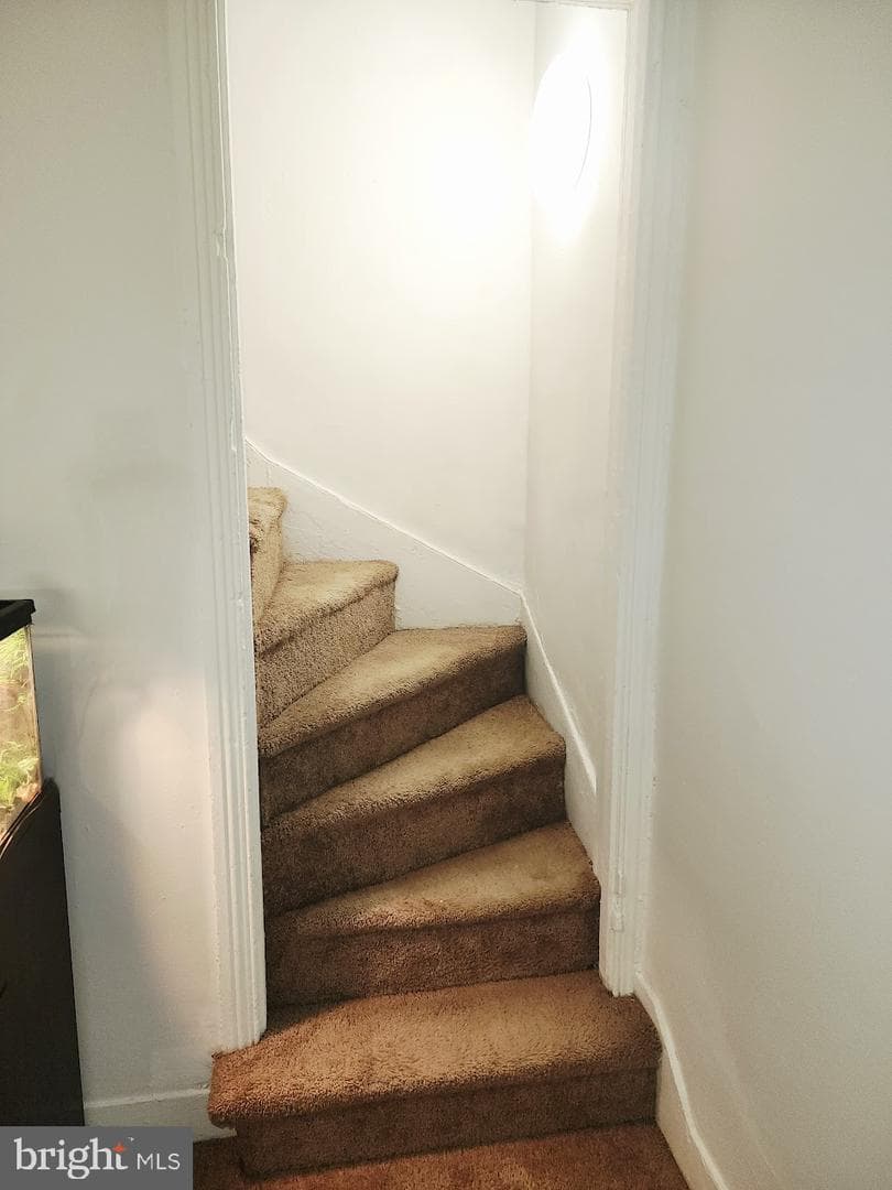 336 Springfield Road photo 16