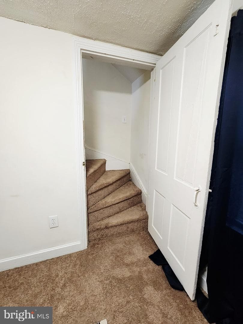 336 Springfield Road photo 21