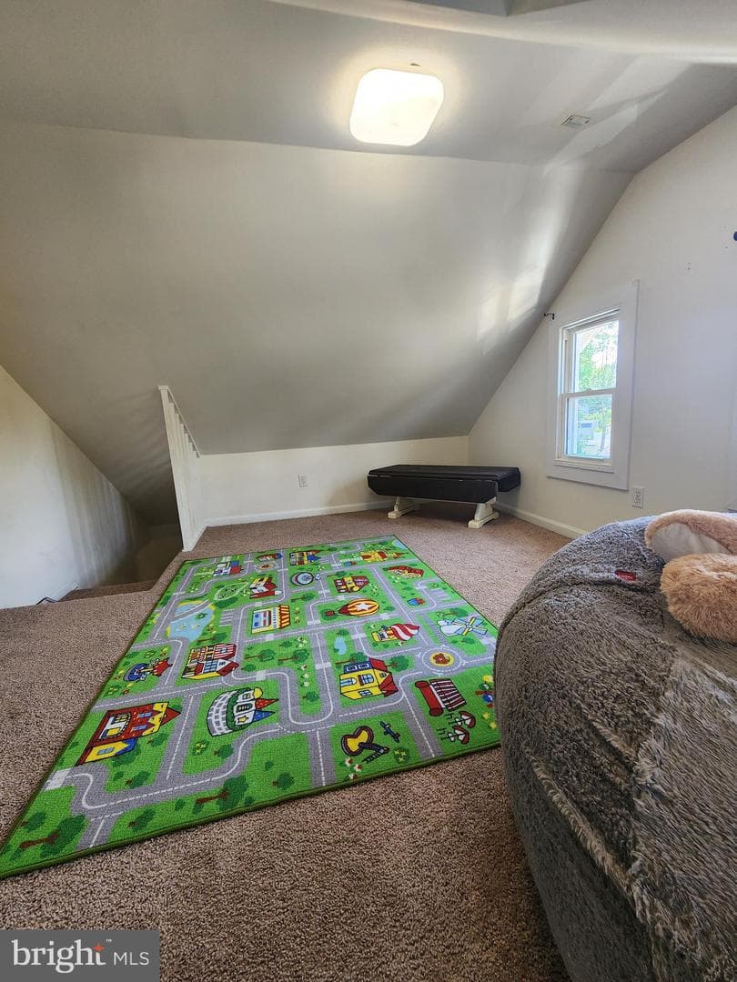 336 Springfield Road photo 23