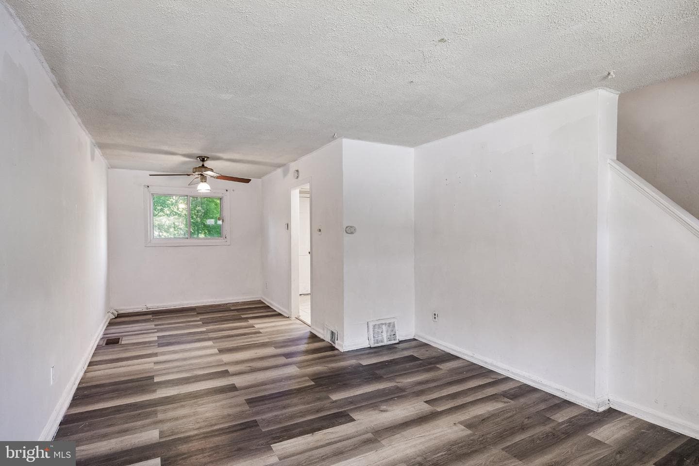 311 Fern Street photo 4