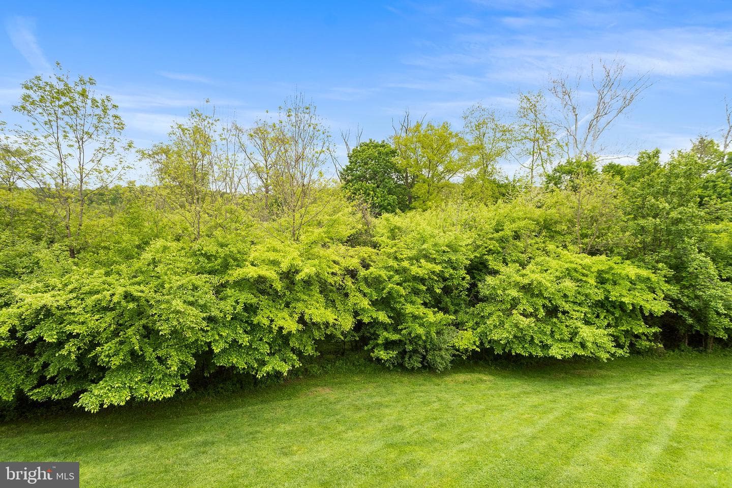 12 Hoag Lane photo 32
