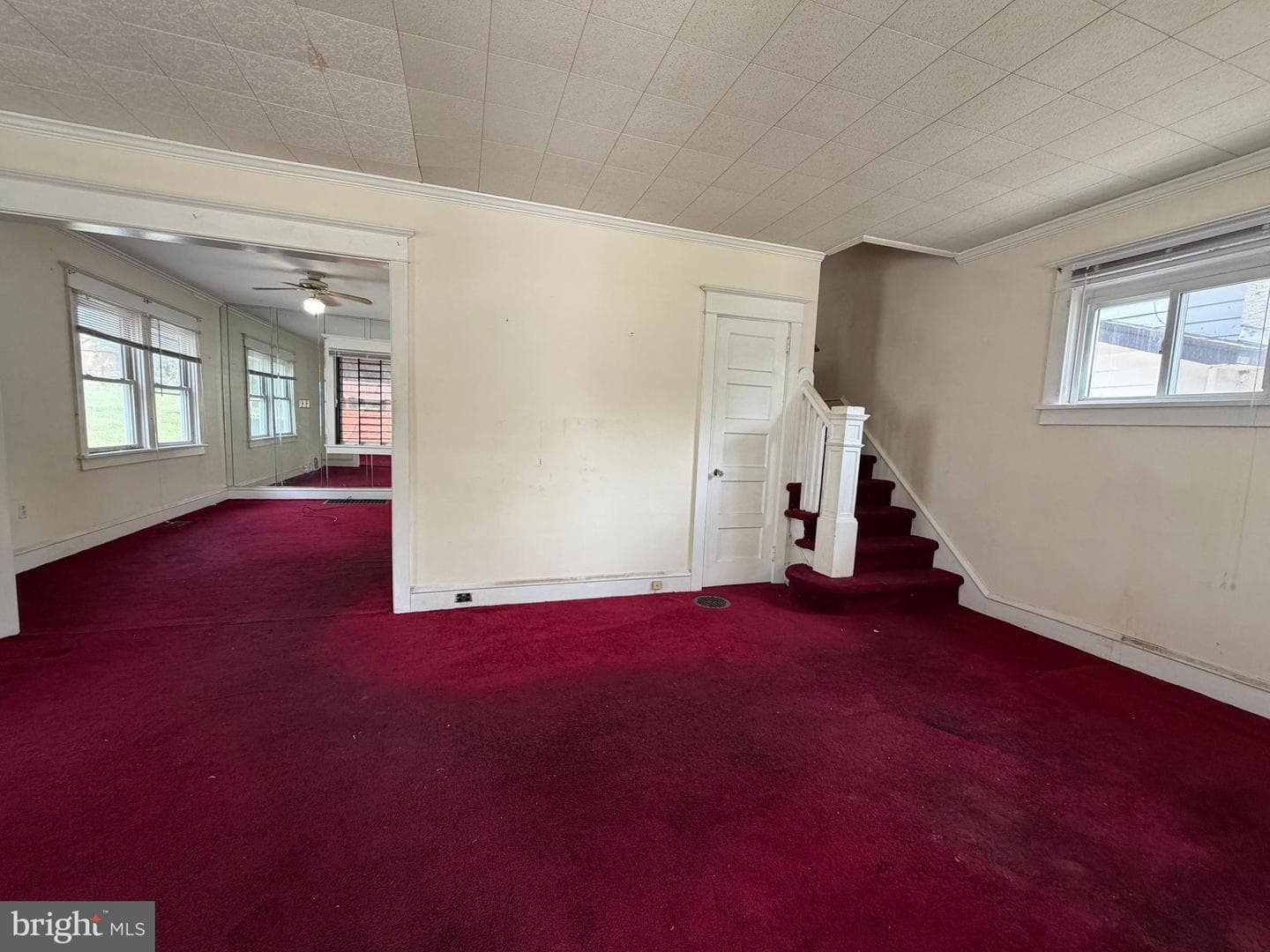 1404 Elmwood Avenue photo 13