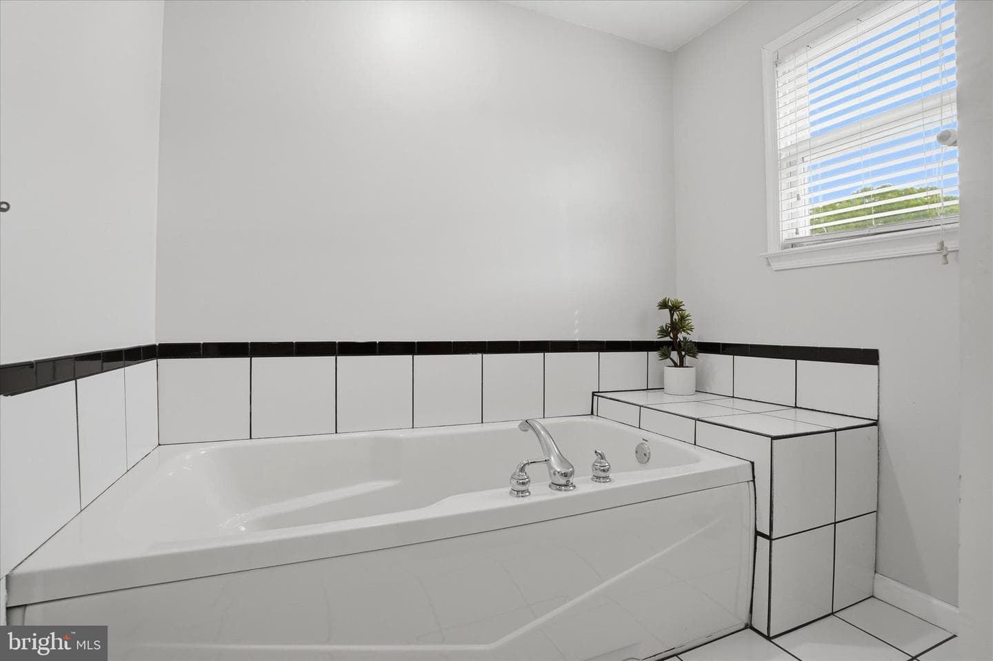 31 Evergreen Avenue photo 18