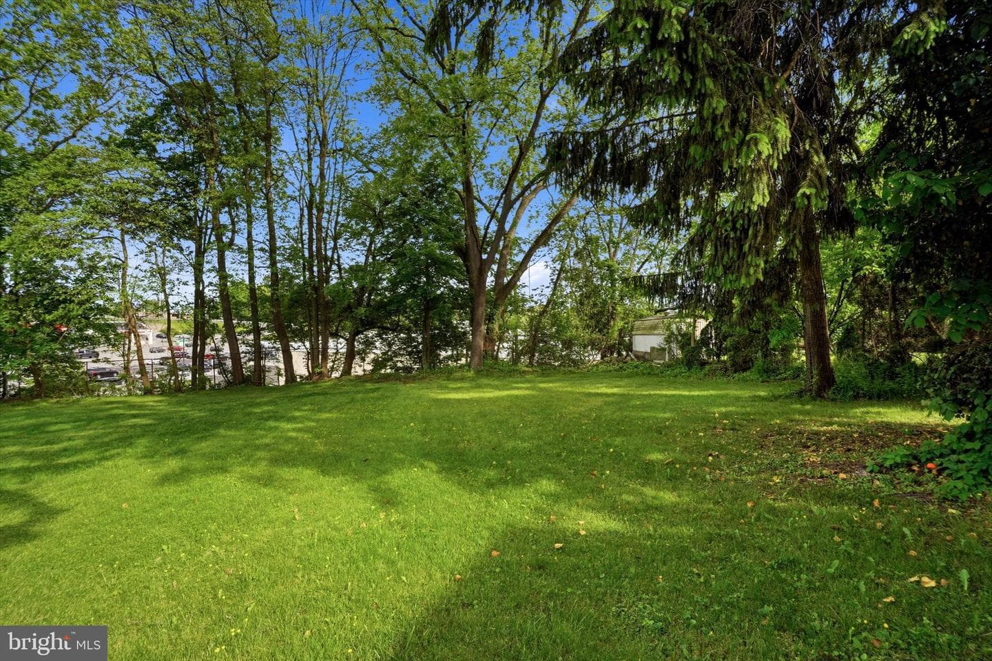 31 Evergreen Avenue photo 32
