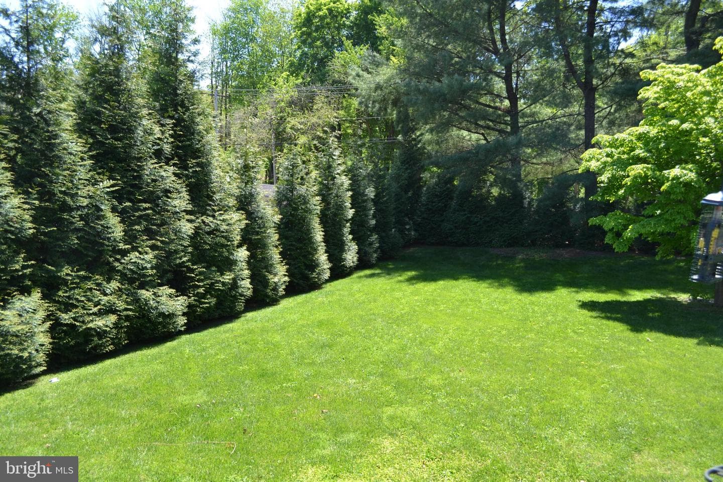 216 County Claire Ln photo 28