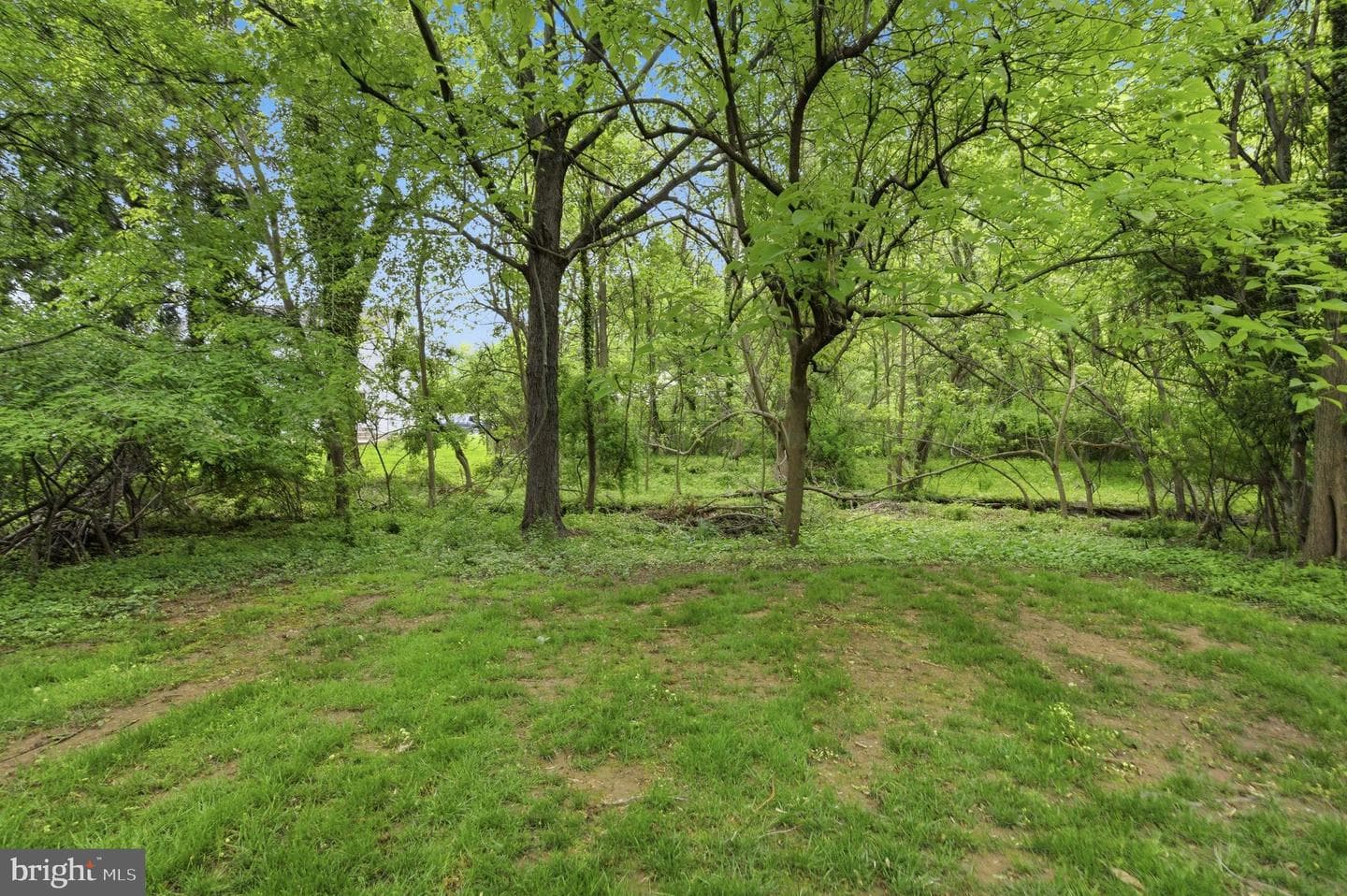 301 Riverview Road photo 44