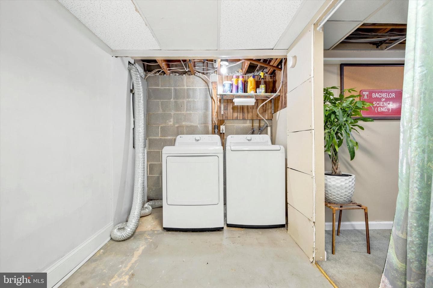 53 Walnut Street photo 22
