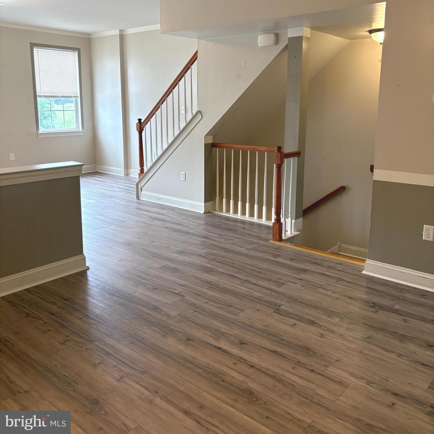 117 Julianna Way photo 11