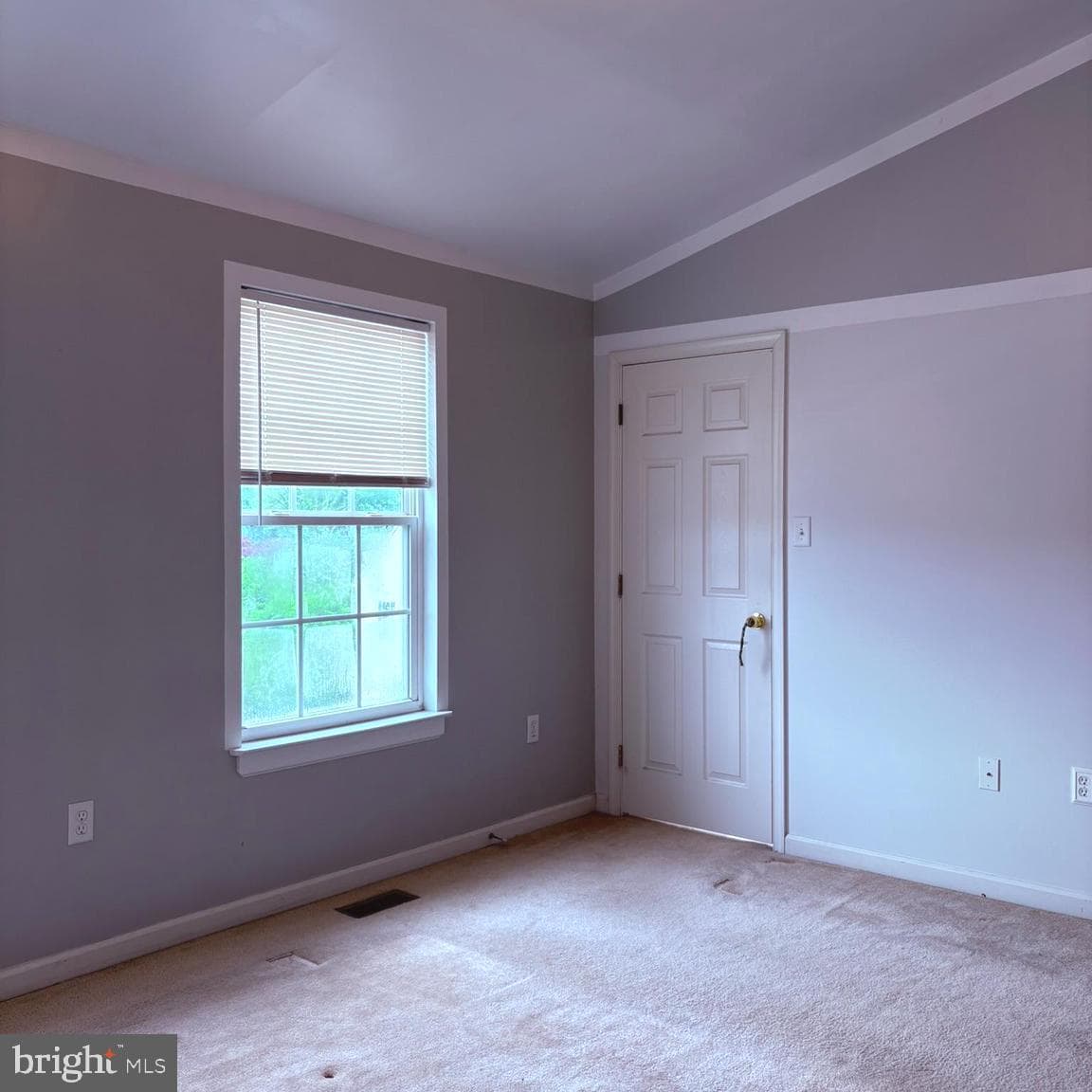 117 Julianna Way photo 33
