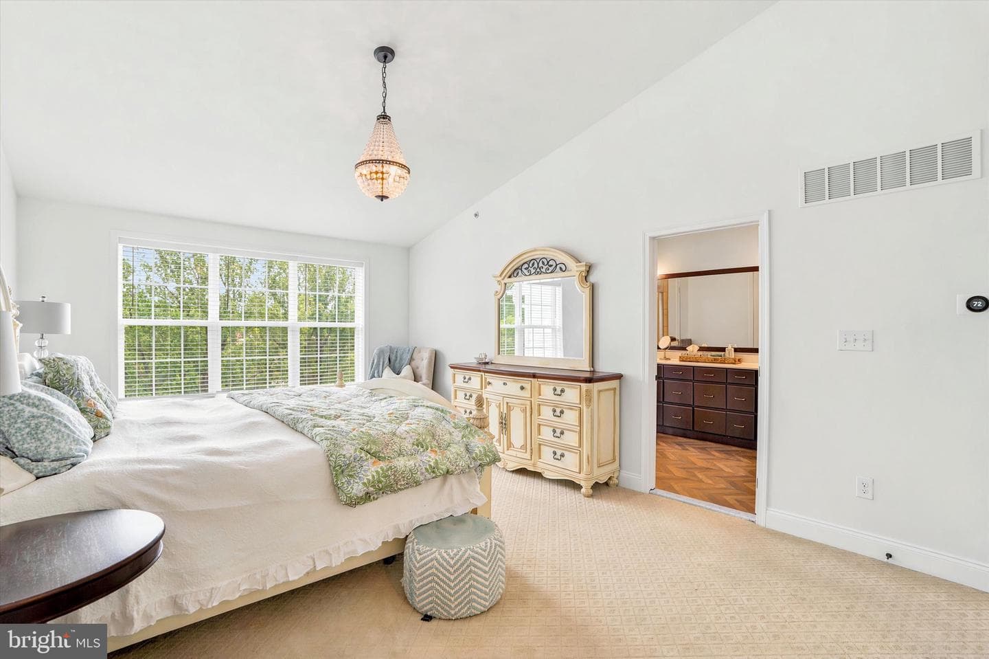 203 Corvus Circle photo 19