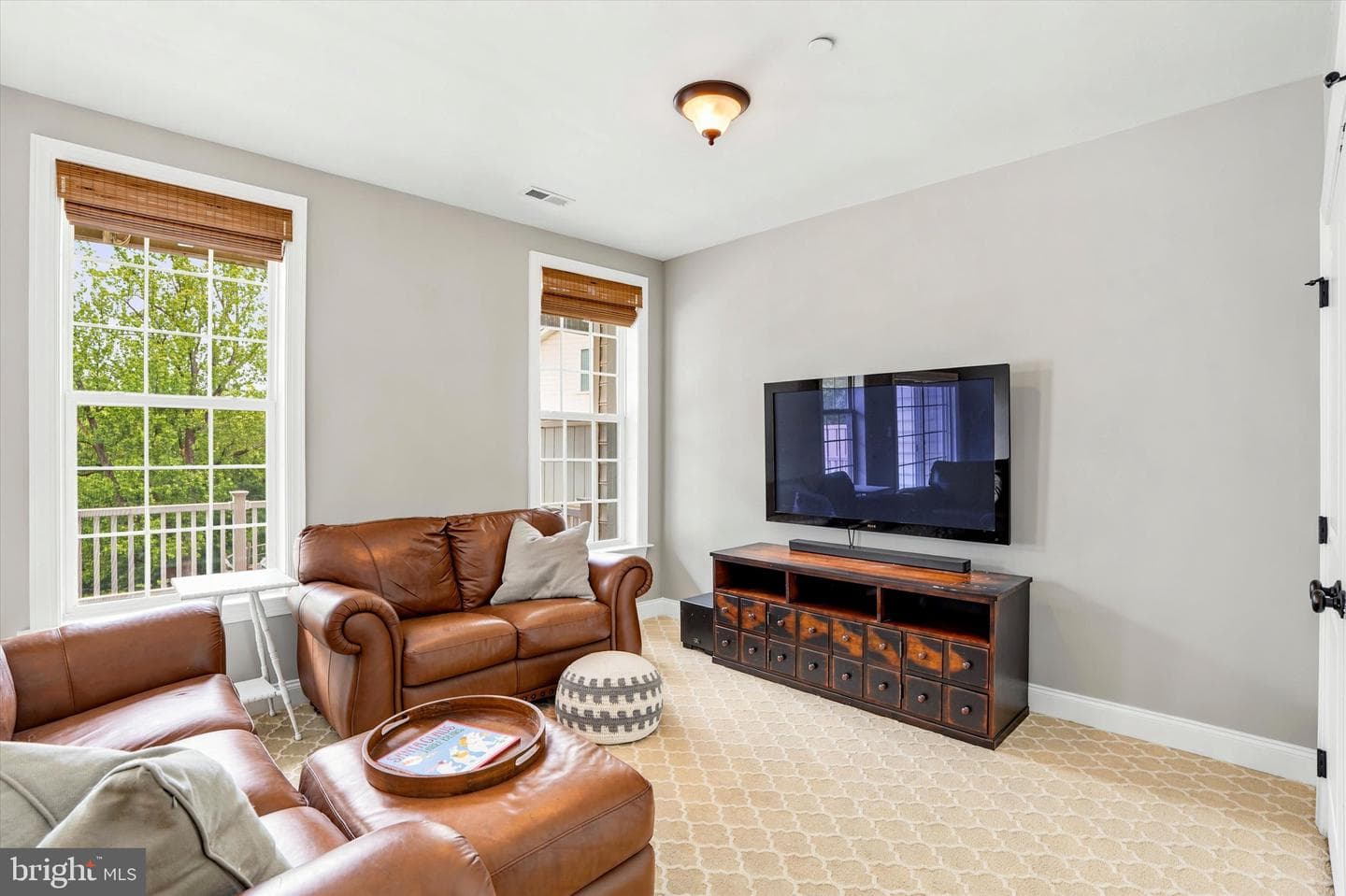 203 Corvus Circle photo 27