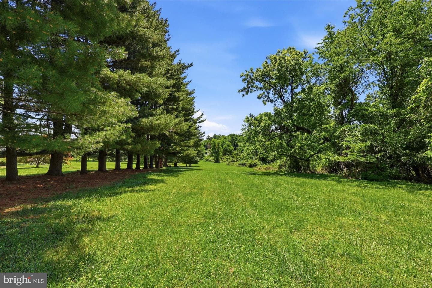 1295 Wakefield Ct Court photo 26