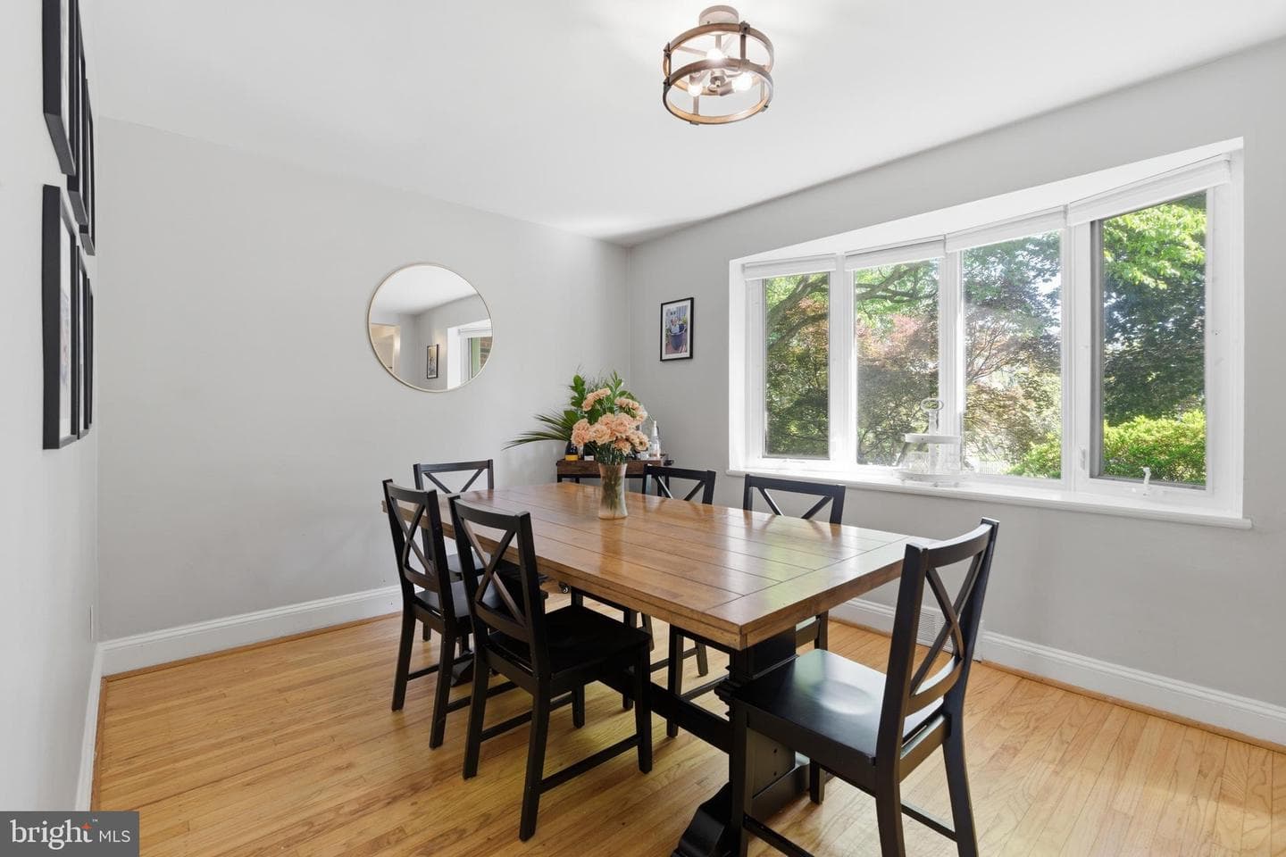 506 Harriet Lane photo 9