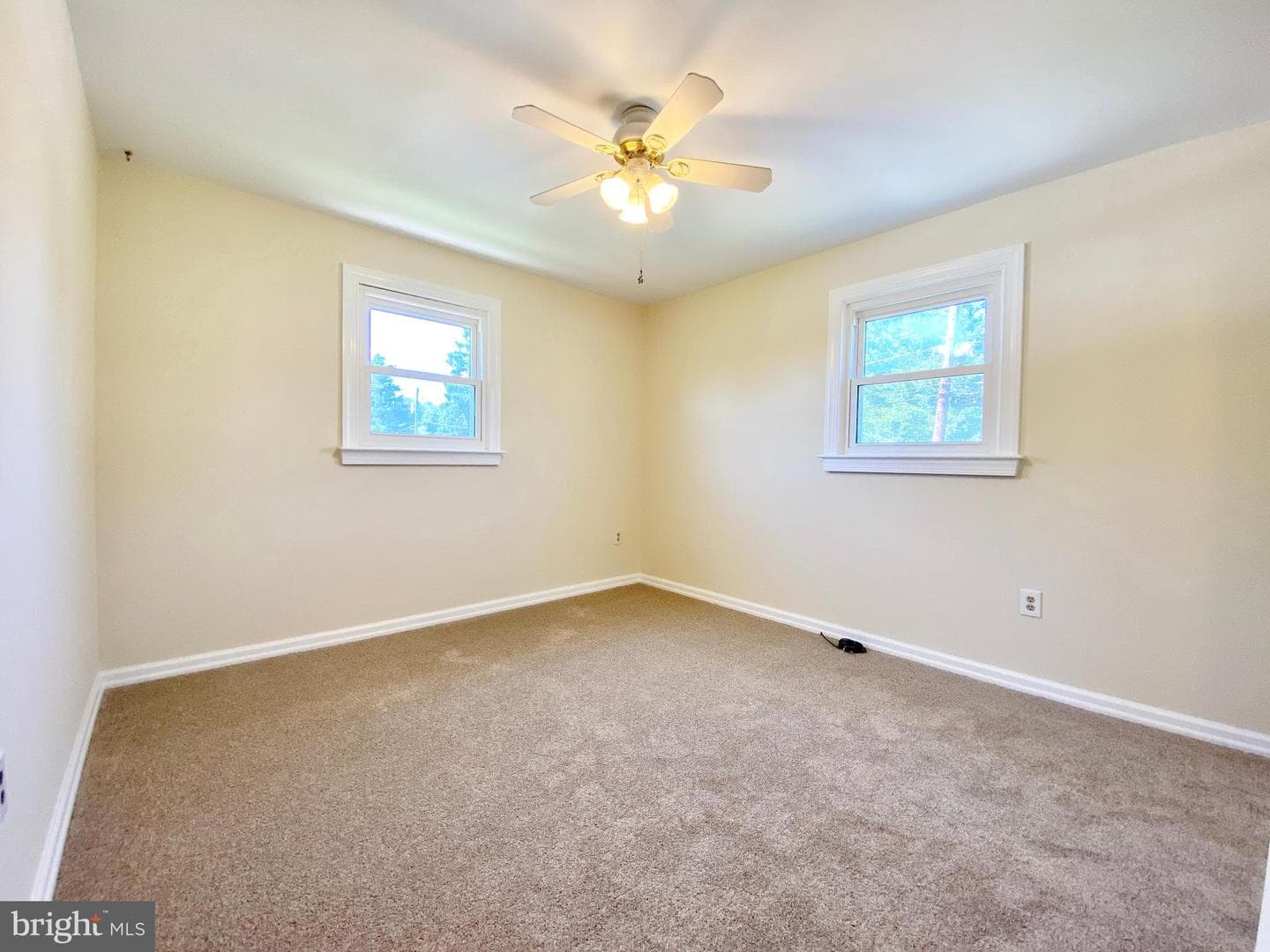 227 Elm Avenue photo 15
