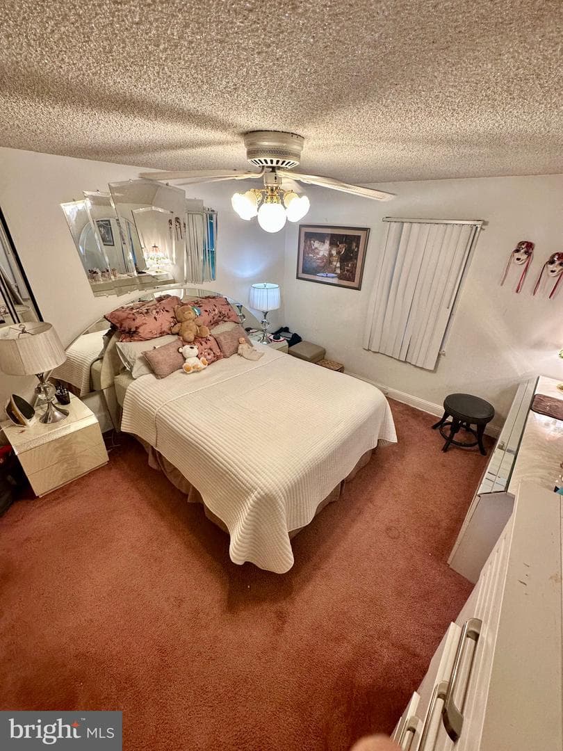 293 Friendship Road photo 12