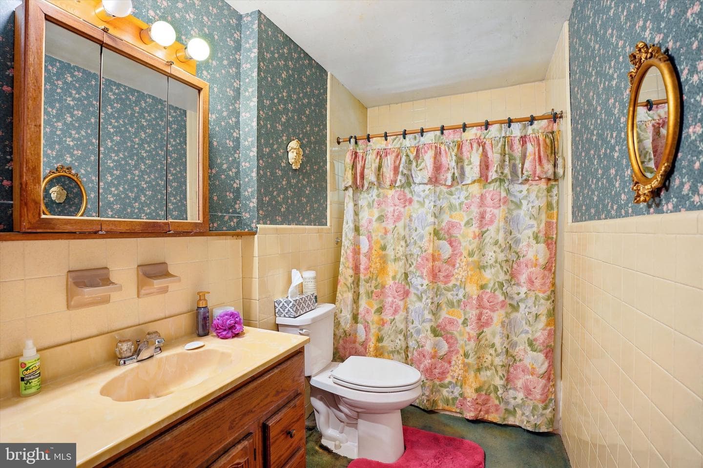 811 Ridley Creek Drive photo 5