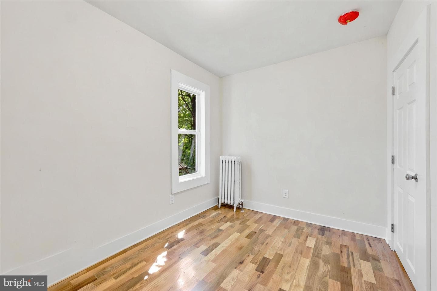 264 Maple Avenue photo 17