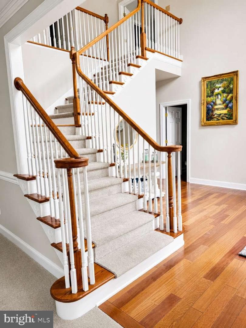 22 Sharpley Drive photo 6