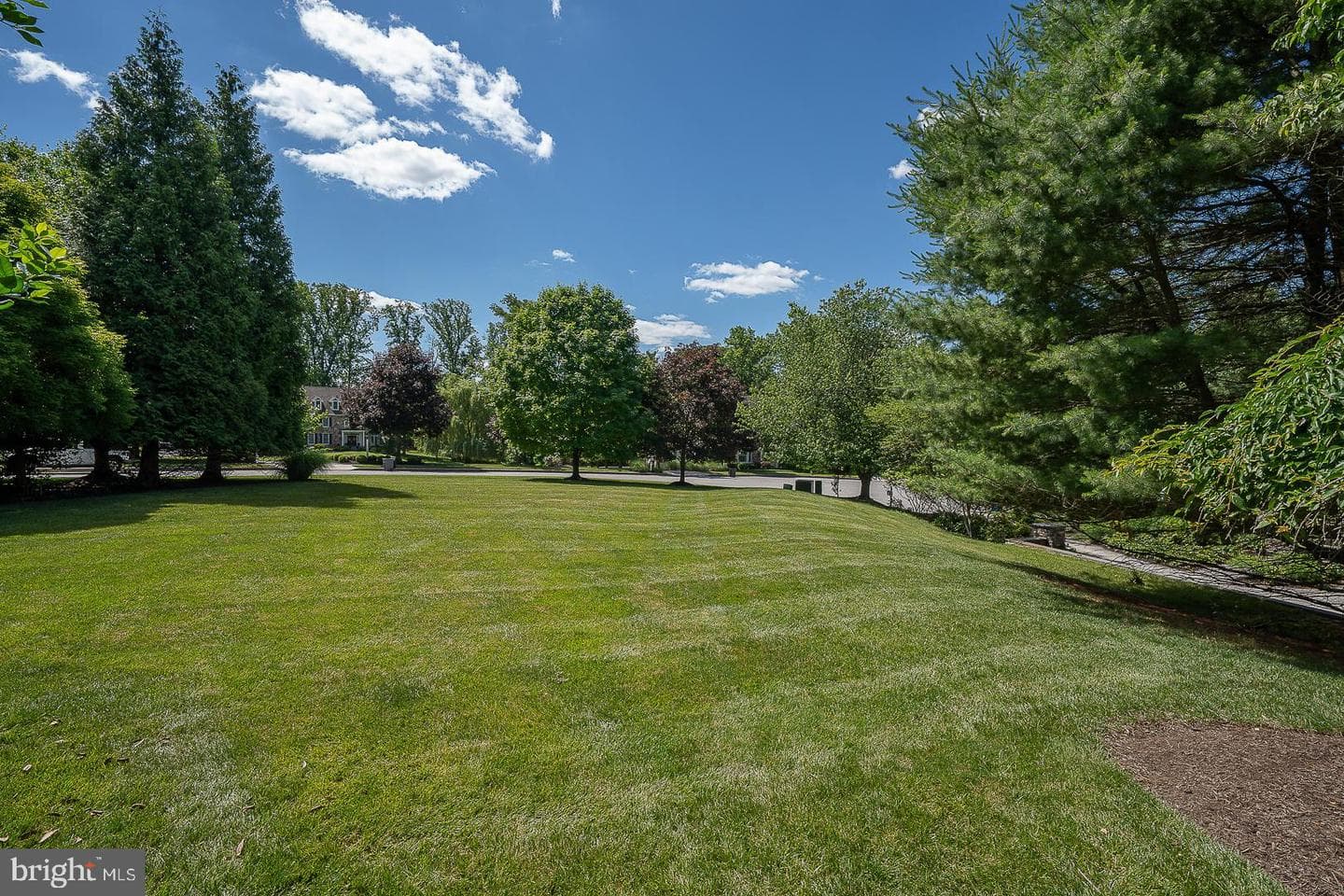 121 Spring Tree Drive photo 55