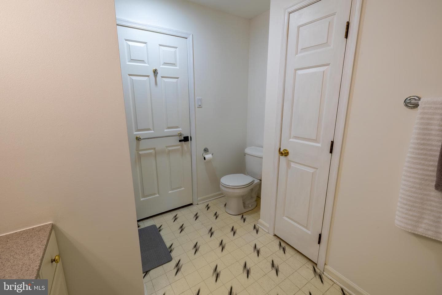 517 Beatty Road photo 19