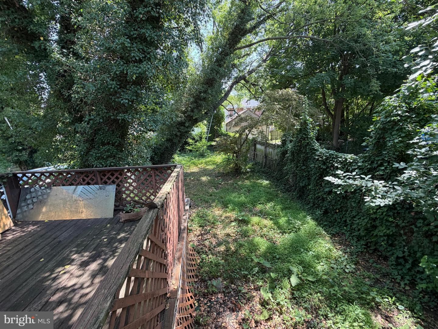 2611 Lindsay Street photo 6