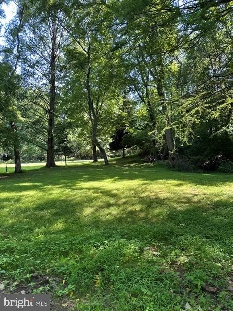 2 Kline Drive photo 68