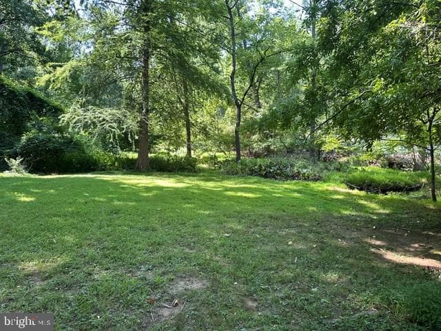 2 Kline Drive photo 69