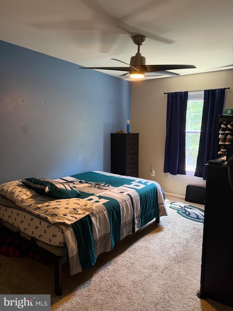 53 Hoag Lane photo 31