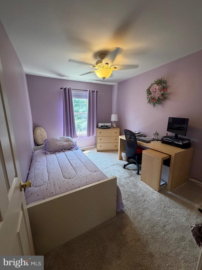 53 Hoag Lane photo 33