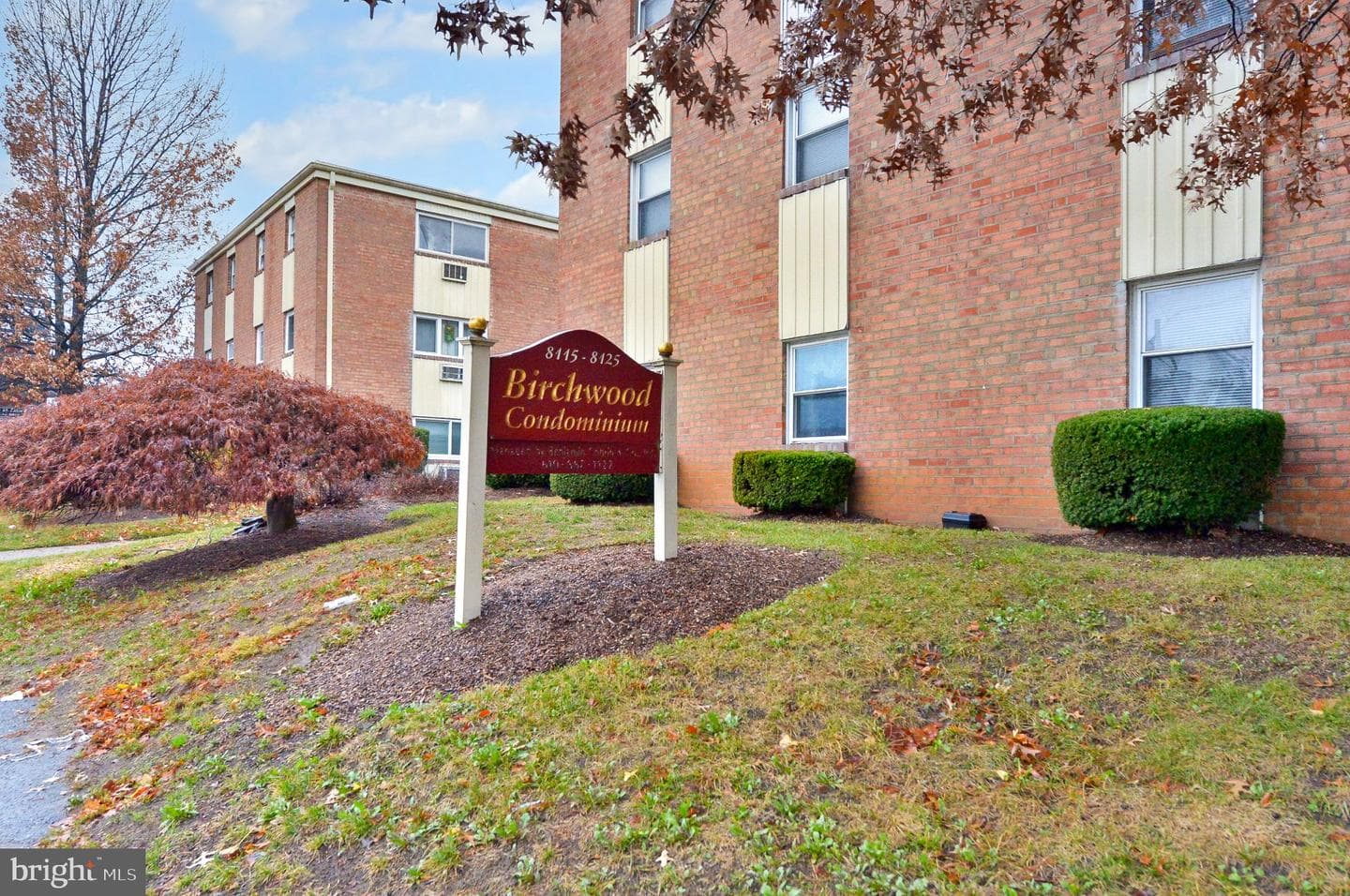 8115 W Chester Pike ##b-5e photo 6