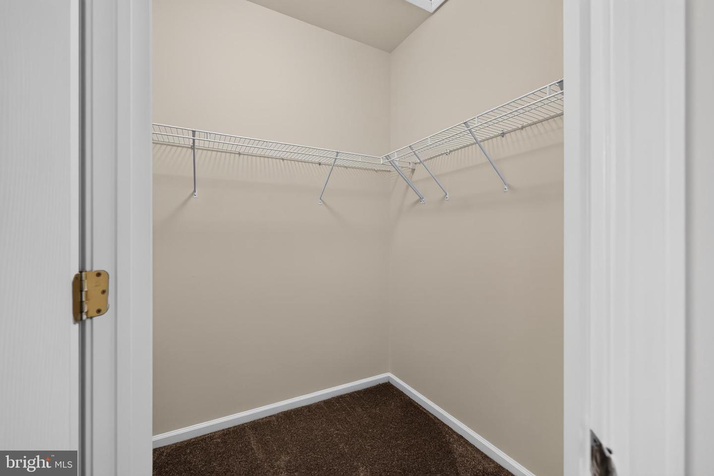 18 Dresner Circle photo 54