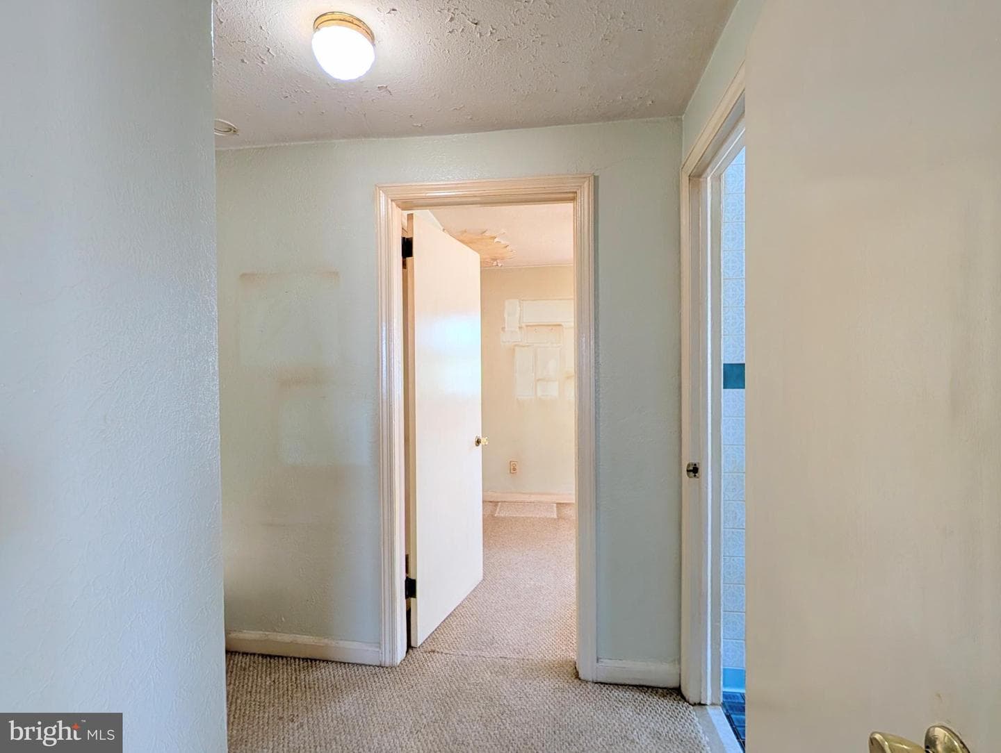 409 Carlisle Avenue photo 22
