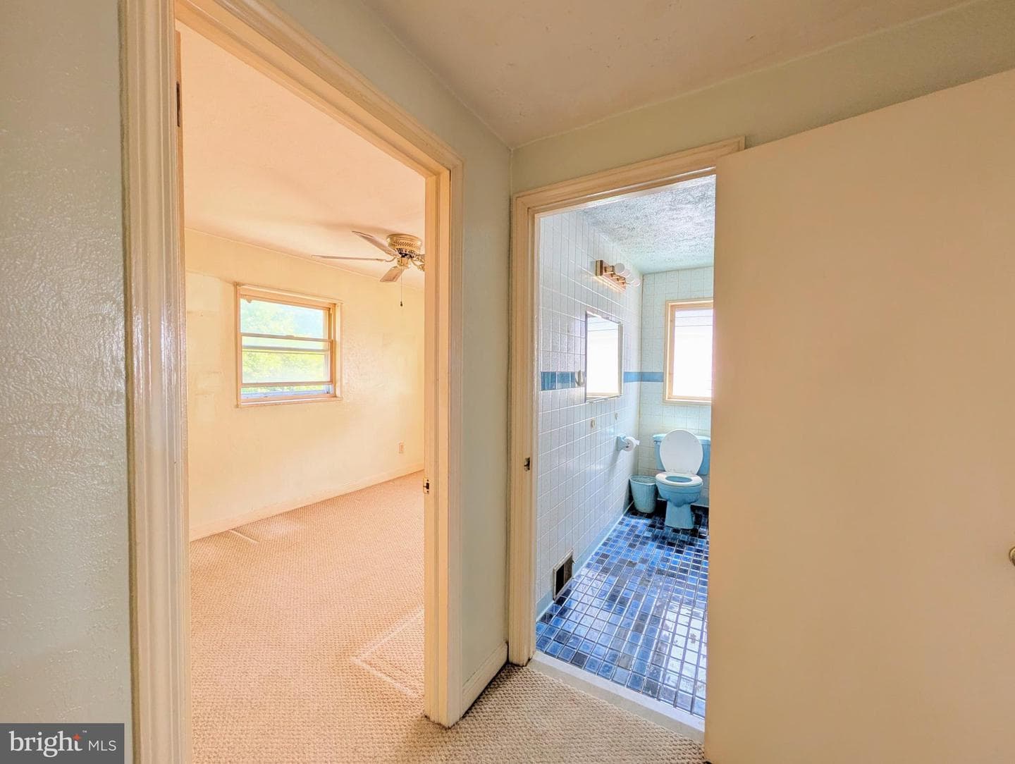 409 Carlisle Avenue photo 30