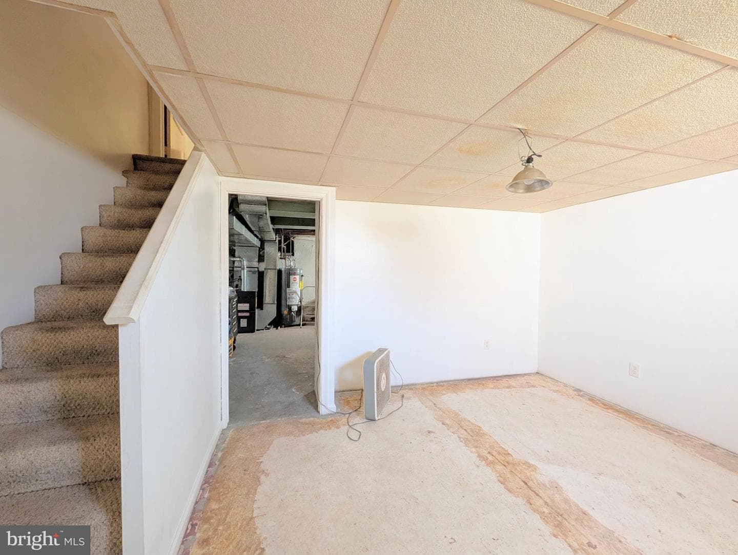 409 Carlisle Avenue photo 34