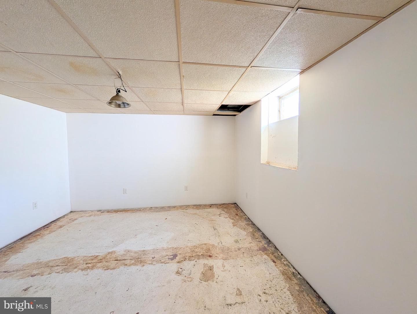 409 Carlisle Avenue photo 35