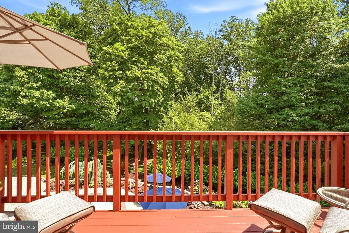 13 Chesterland Drive photo 64