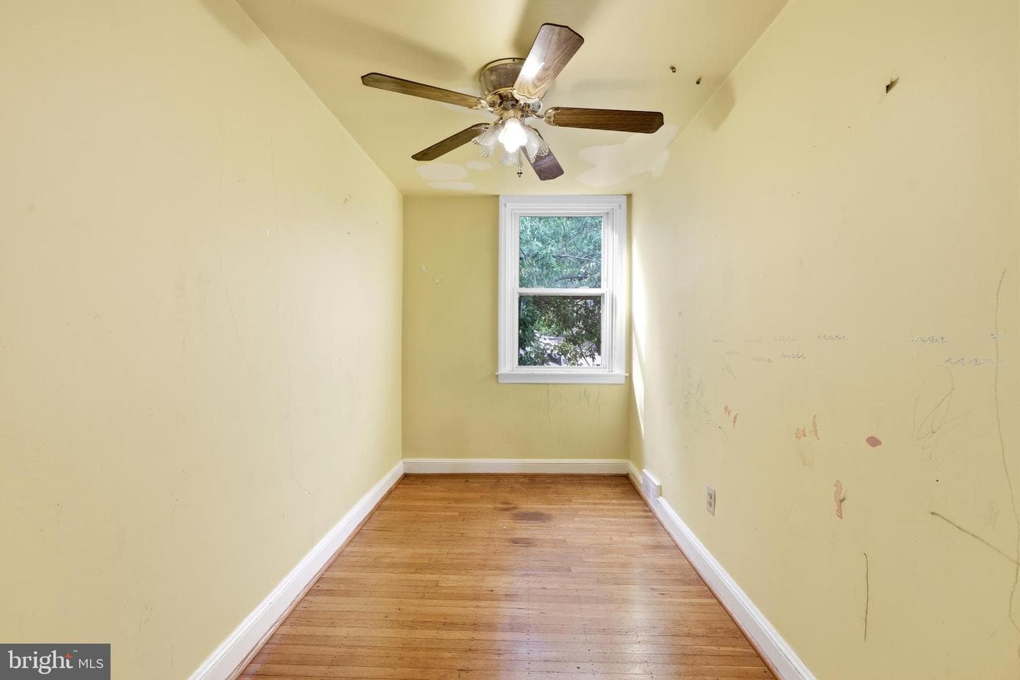 217 Cambridge Road photo 17