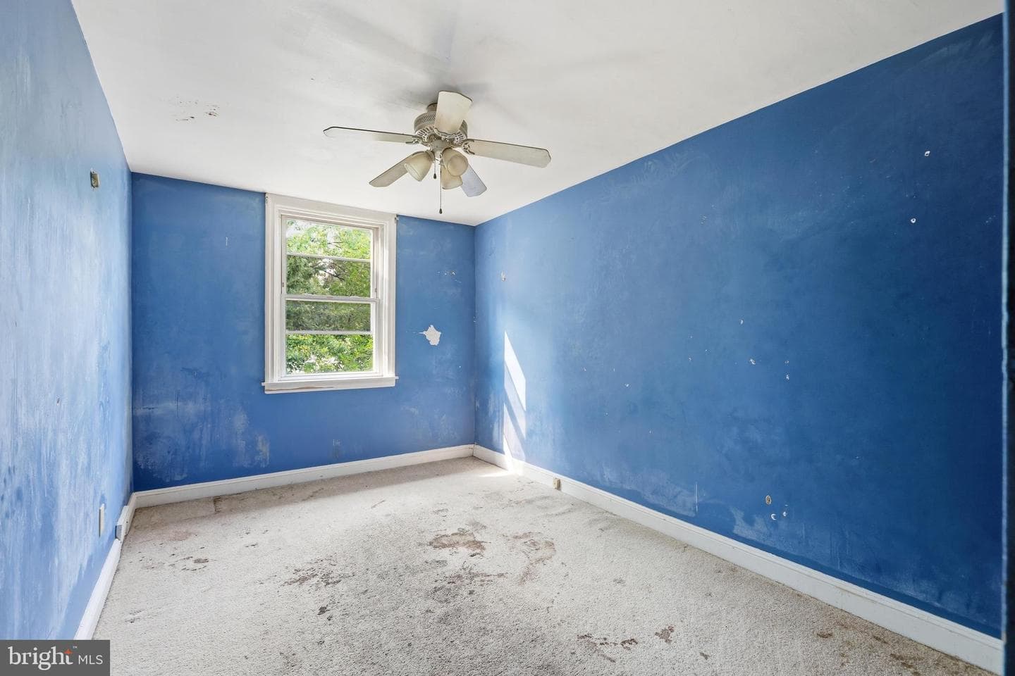 217 Cambridge Road photo 19